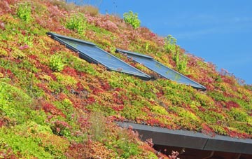 Bickingcott living roof systems